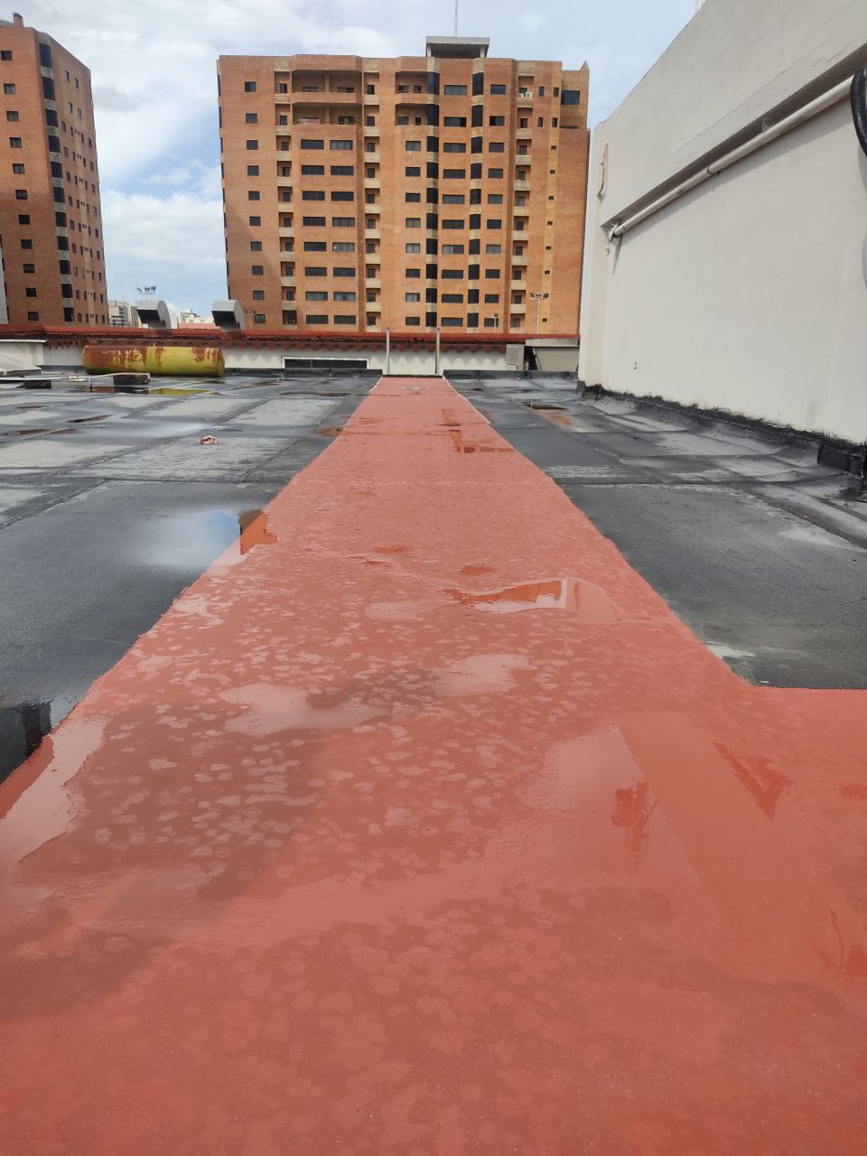 Caminería con Pintura Epóxica